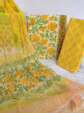 HAND BLOCK PRINTED COTTON SUIT WITH PURE CHIFFON DUPATTA2